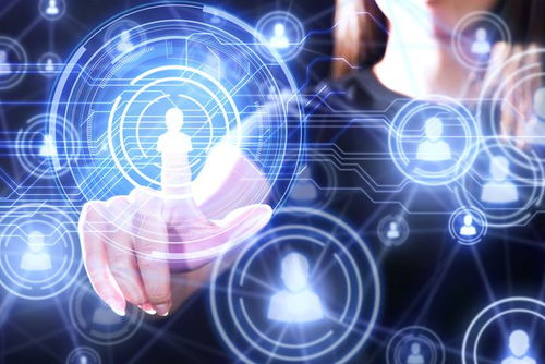 科技行业动态观察 合规、转型与战略应对